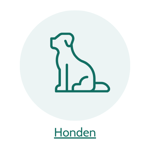 5% korting op hondenartikelen