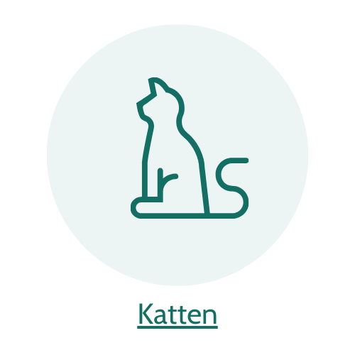 5% korting op kattentikelen