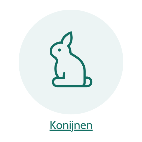 5% korting op hondenartikelen