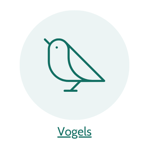 5% korting op vogelvoer